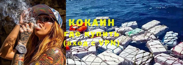ГАЛЛЮЦИНОГЕННЫЕ ГРИБЫ Аркадак