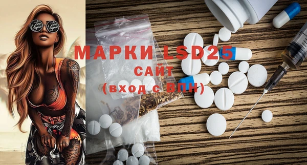 ГАЛЛЮЦИНОГЕННЫЕ ГРИБЫ Аркадак