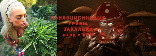 ГАЛЛЮЦИНОГЕННЫЕ ГРИБЫ Аркадак