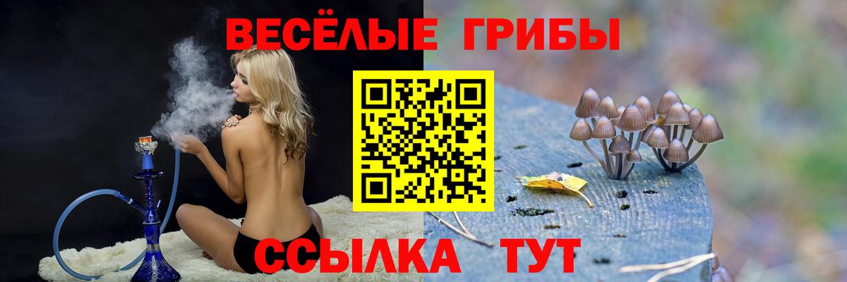 Галлюциногенные грибы Magic Shrooms  Псилоцибиновые грибы Psilocybine cubensis  Вход с VPN  купить  сайты  Рыбинск 